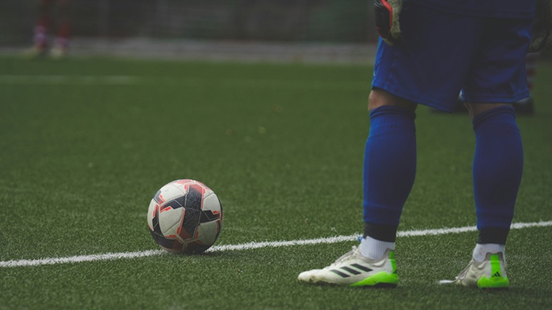 alternativas a Sportsfeed24