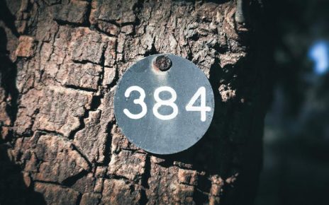 prefijo 612