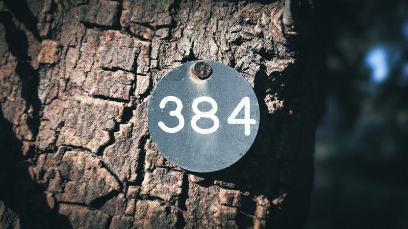 prefijo 612