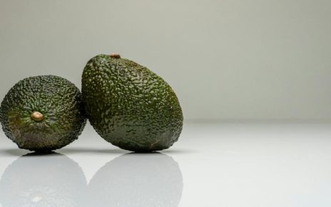 el aguacate engorda