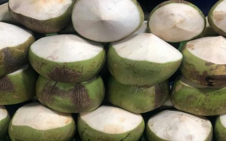 el coco engorda