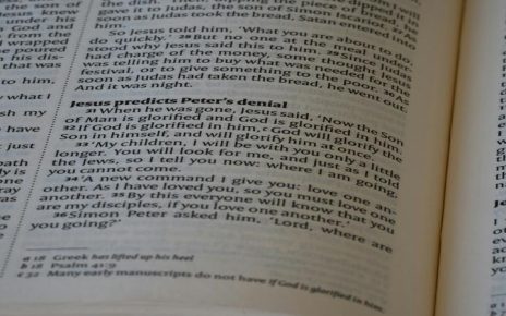 prolactina alta engorda