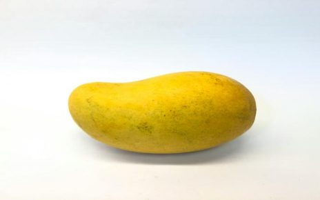 el mango engorda